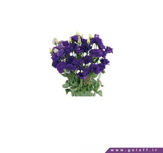 دسته گل نامزدی - دسته گل لیسیانتوس رزیتا بلو - Lisianthus | گل آف